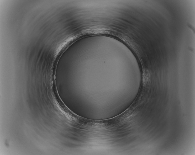 X0000099440438200805231721