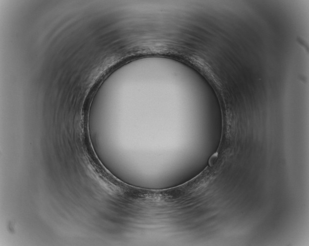 X0000099440439200805231721