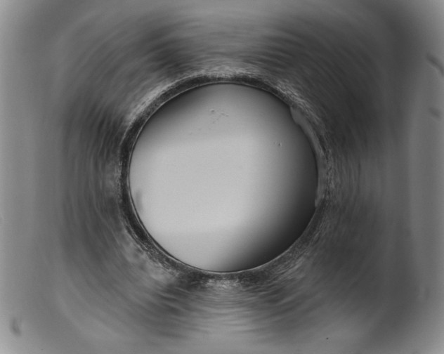 X0000099440440200805231721