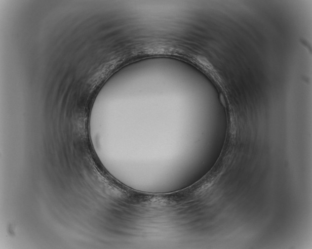 X0000099440441200805231721