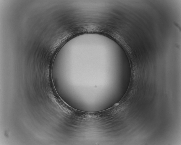 X0000099440442200805231721