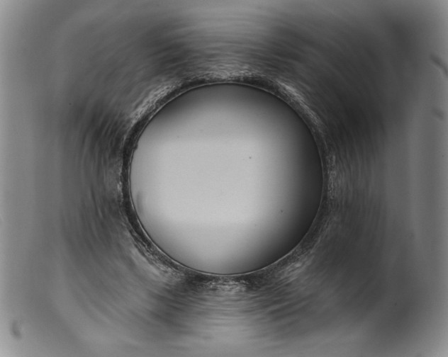 X0000099440443200805231721