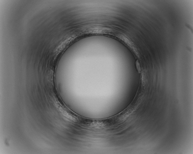 X0000099440445200805231721