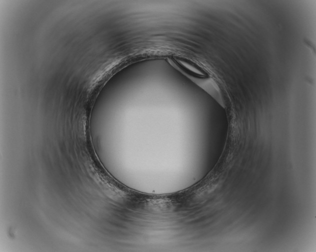 X0000099440446200805231721