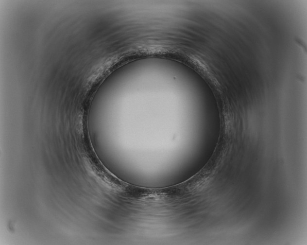 X0000099440447200805231721