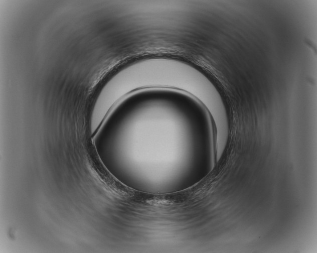 X0000099440448200805231721