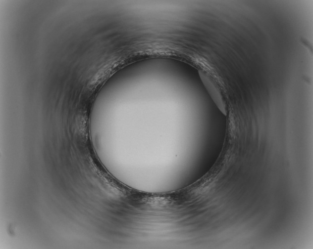 X0000099440449200805231721