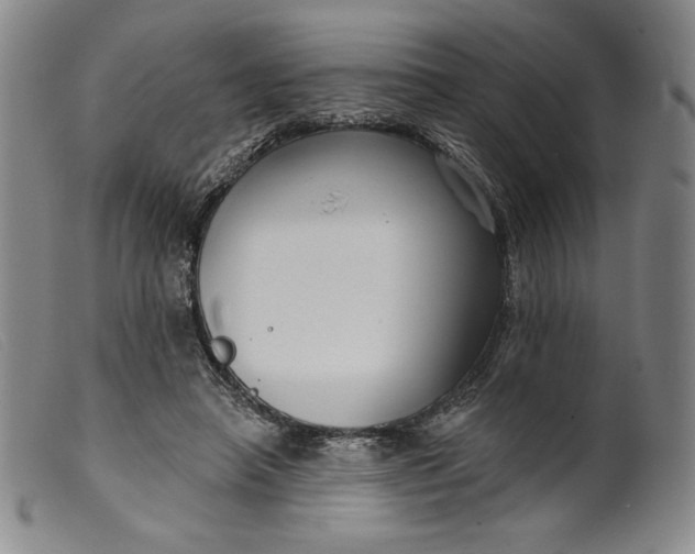 X0000099440450200805231721
