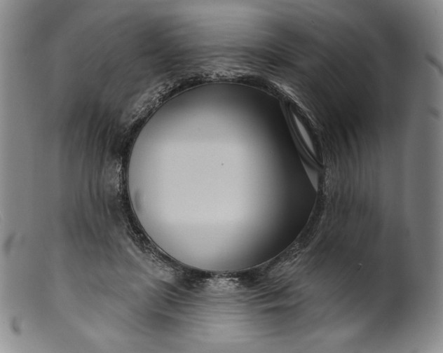 X0000099440451200805231722