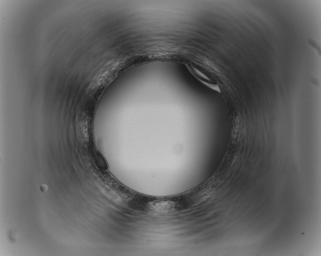 X0000099440452200805231722