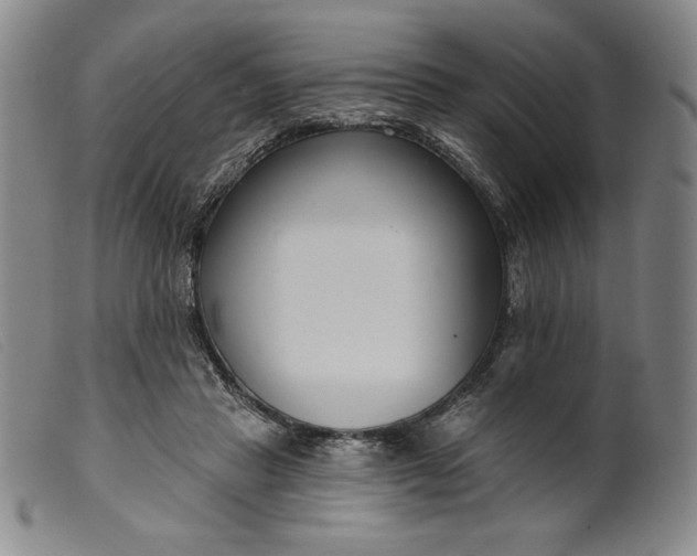 X0000099440453200805231722