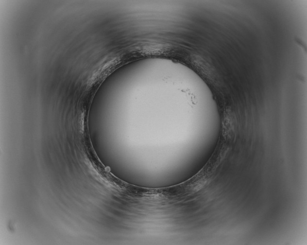 X0000099440454200805231722