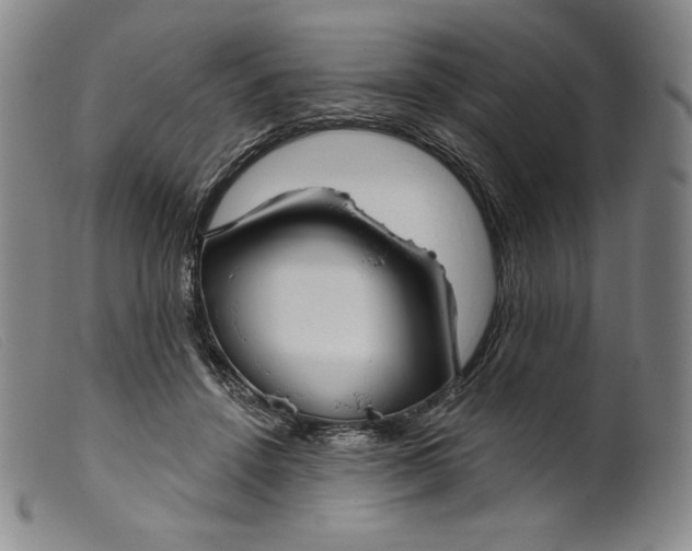 X0000099440456200805231722