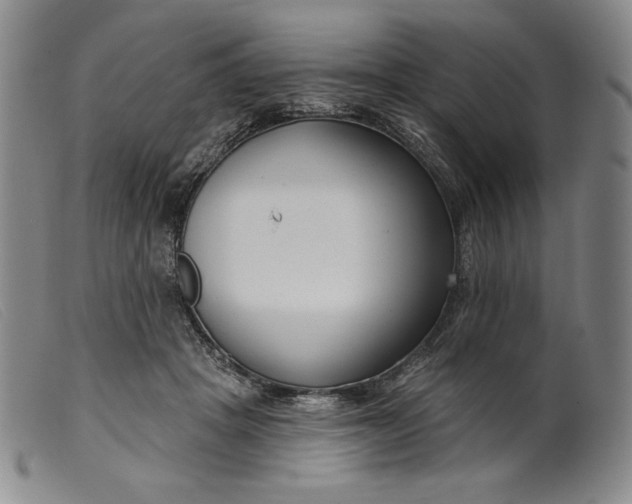 X0000099440457200805231722