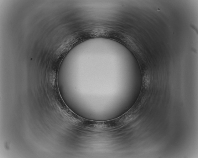 X0000099440458200805231722
