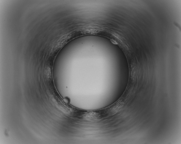 X0000099440459200805231722