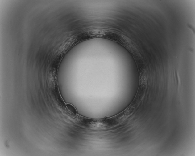 X0000099440460200805231722