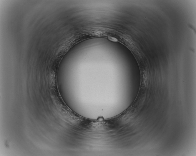 X0000099440461200805231722