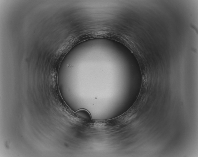 X0000099440462200805231722