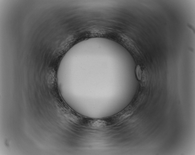 X0000099440463200805231722