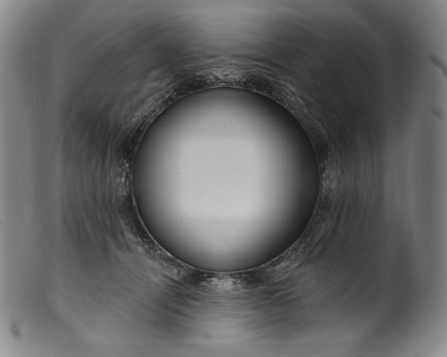 X0000099440464200805231722