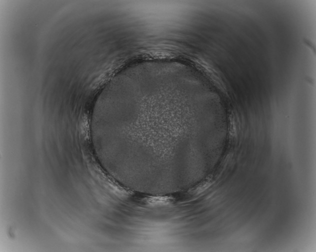 X0000099440465200805231722