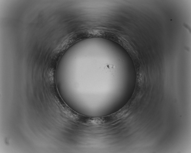X0000099440466200805231722