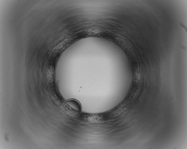 X0000099440468200805231722