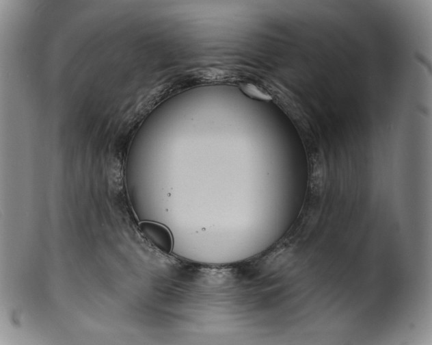 X0000099440469200805231722