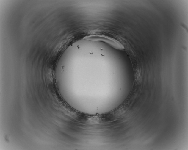 X0000099440470200805231722