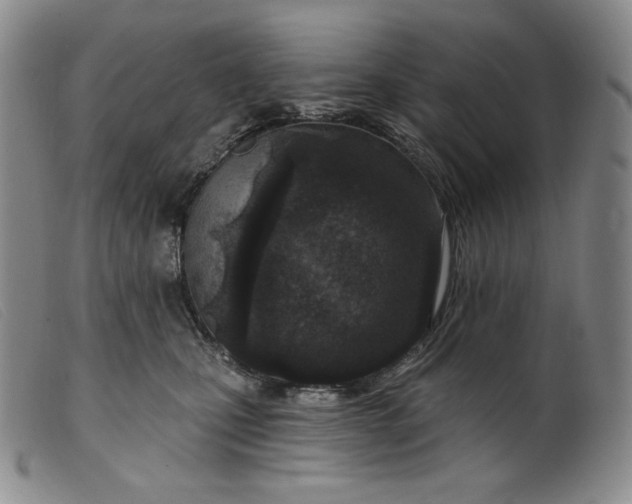 X0000099440471200805231722