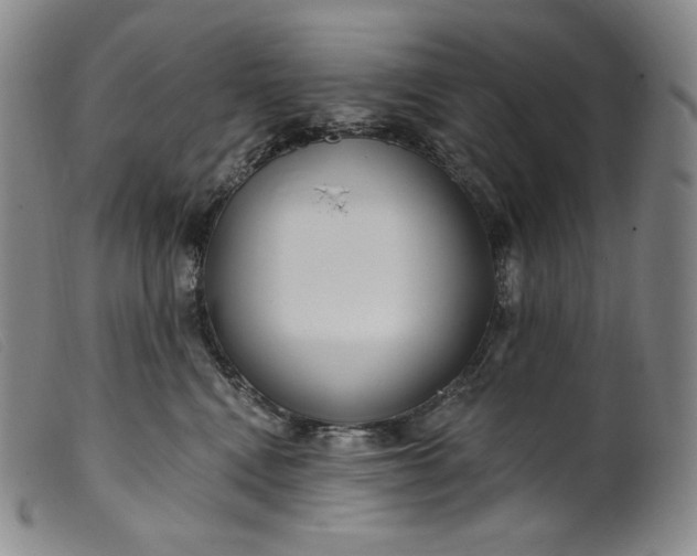 X0000099440472200805231722