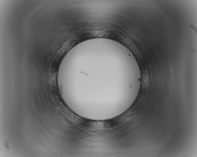 X0000099440473200805231722