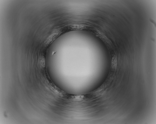 X0000099440474200805231722