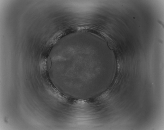 X0000099440475200805231722