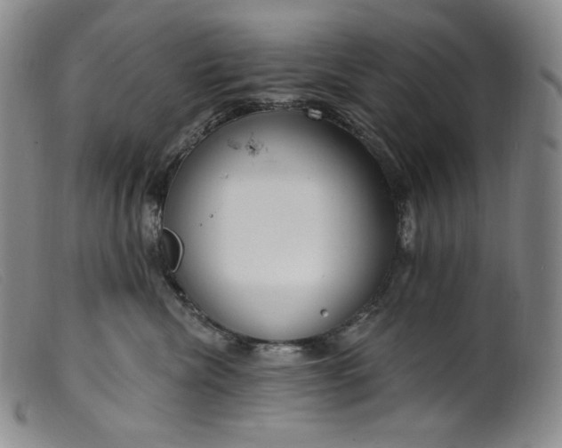 X0000099440476200805231722