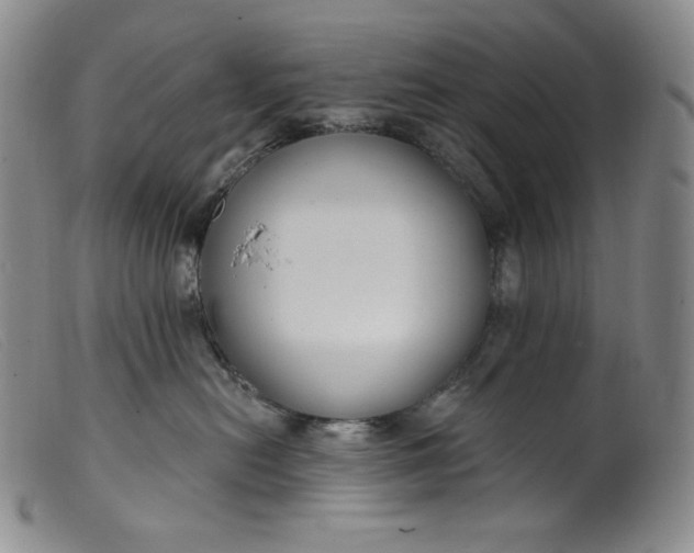 X0000099440478200805231722