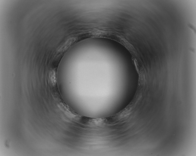 X0000099440479200805231722