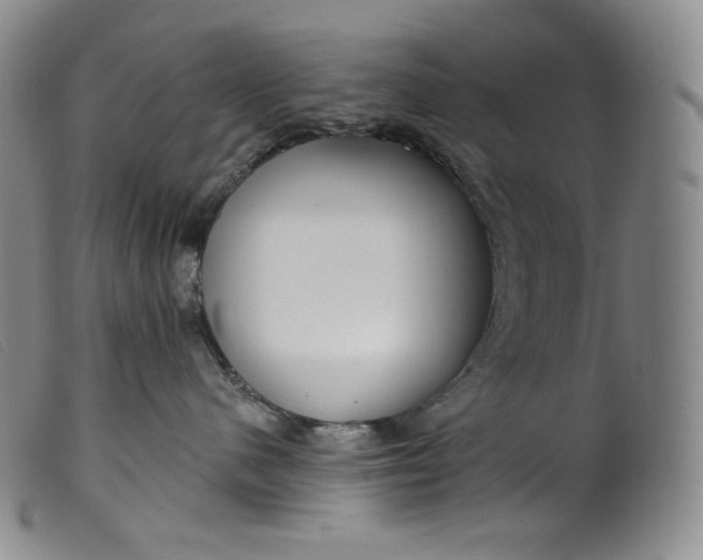 X0000099440480200805231722
