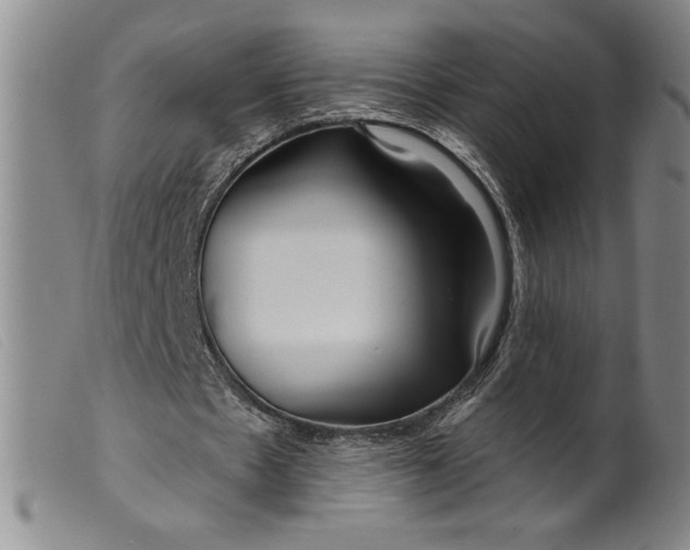 X0000099440481200805231721