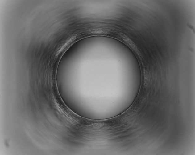 X0000099440482200805231721