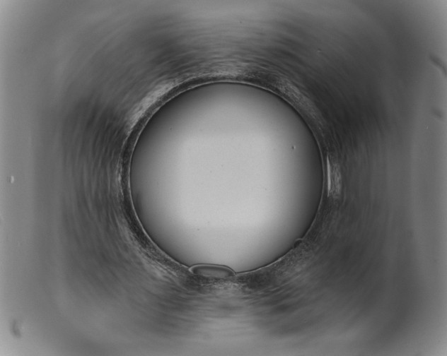 X0000099440483200805231721