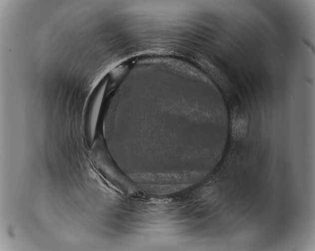 X0000099440484200805231721