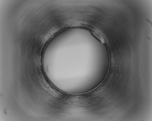 X0000099440485200805231721