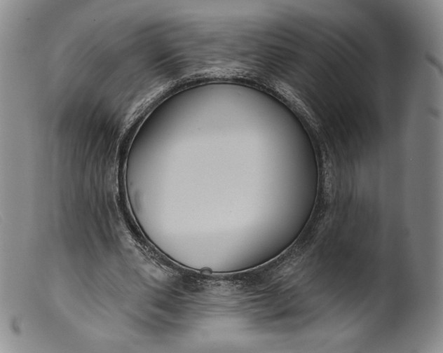X0000099440486200805231721