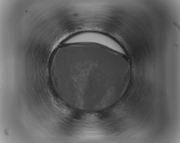 X0000099440488200805231721