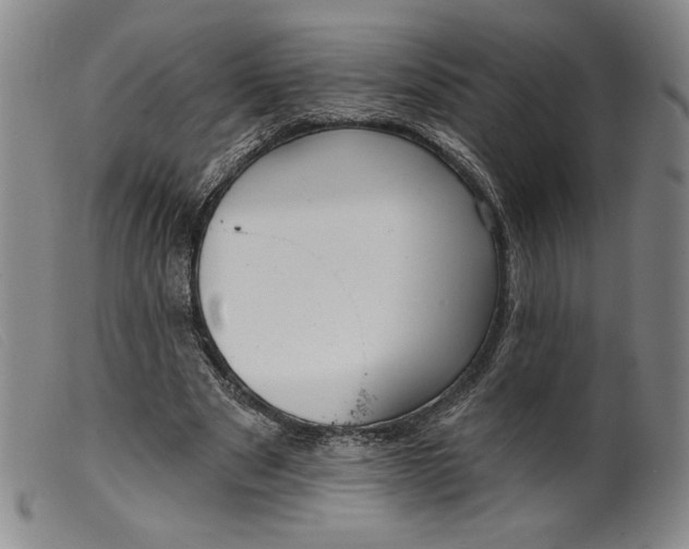 X0000099440489200805231721