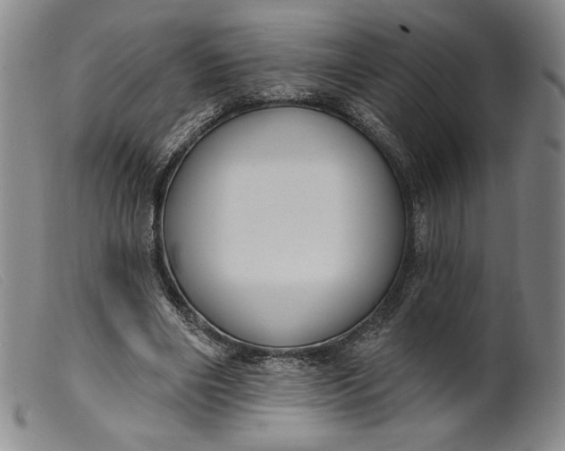 X0000099440490200805231721