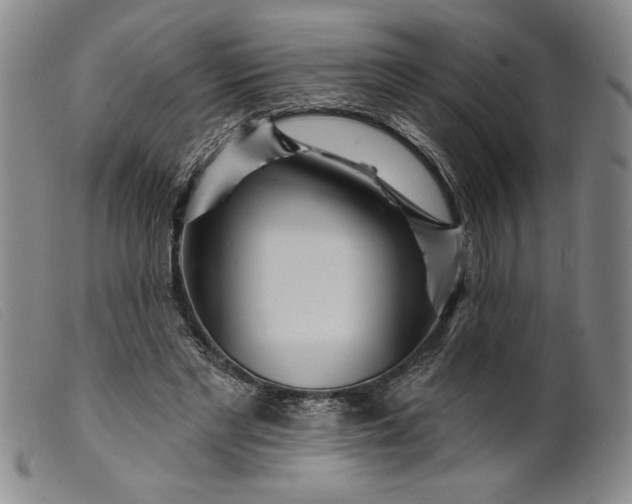 X0000099440493200805231721