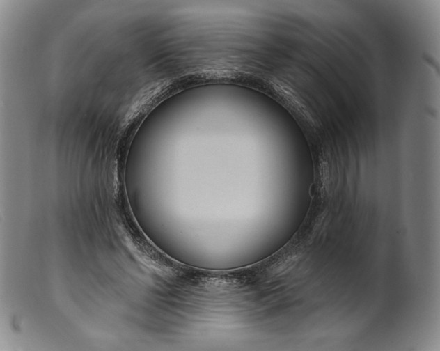 X0000099440494200805231721